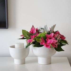 Meet your Posher, Nova